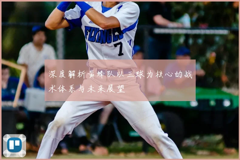 深度解析黄蜂队以三球为核心的战术体系与未来展望